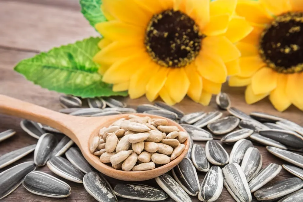 Obat Alergi dari Bahan Alami yang Bisa Ditemukan di Rumah