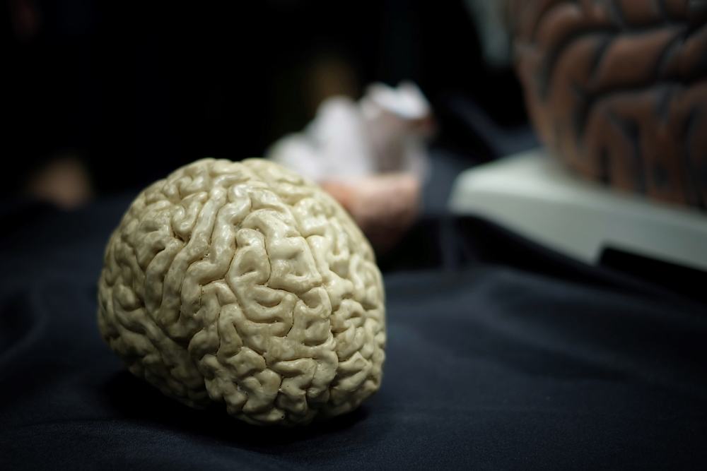 Bahaya Fatal yang Akan Terjadi Jika Kita Makan Otak Manusia