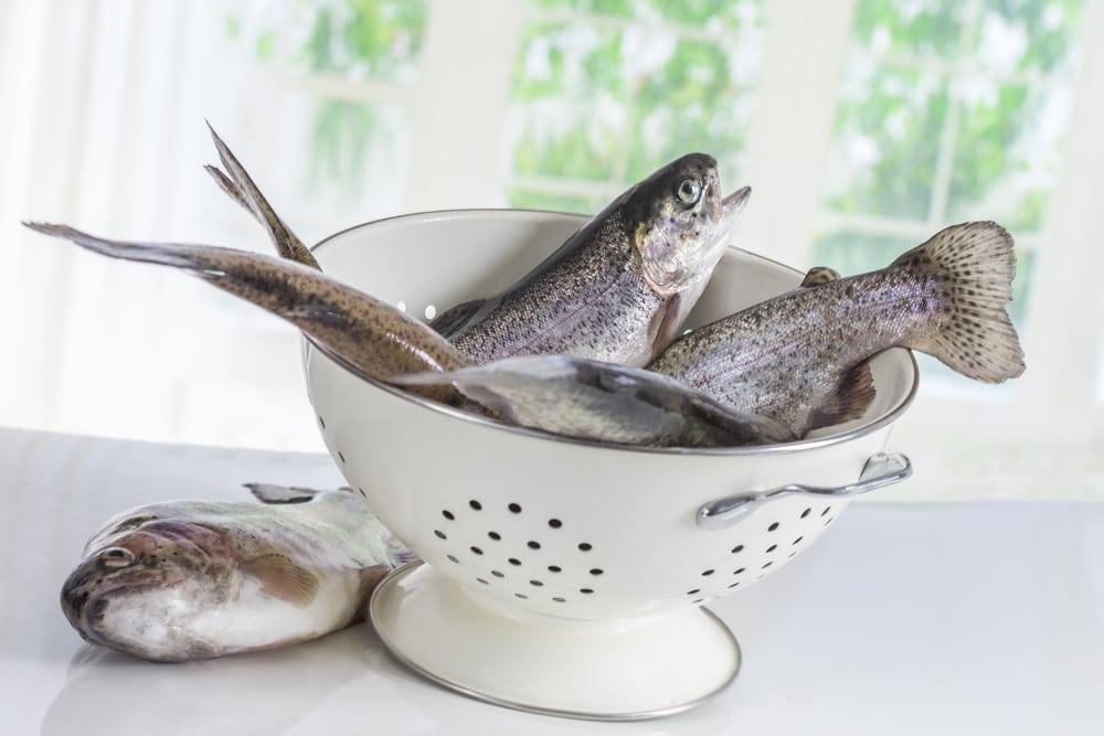 makan ikan saat hamil penting