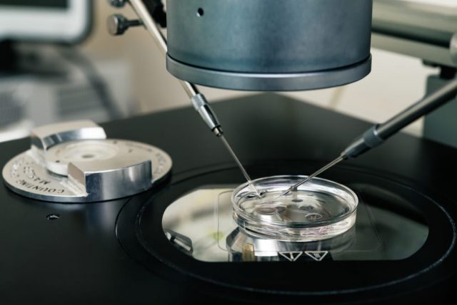 Benarkah Tanam Satu Embrio untuk Bayi Tabung Lebih Efektif Daripada Dua Embrio?