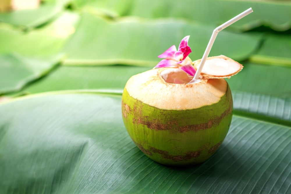 Manfaat Air Kelapa untuk Diet dan Tips Mengonsumsinya