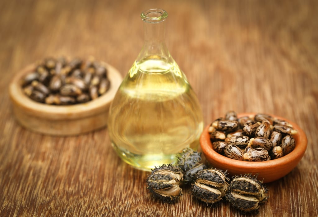 minyak jarak mengatasi sembelit obat alami herbal batu empedu