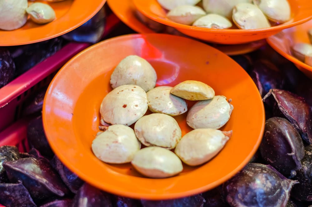 Jarang Diketahui, Inilah 6 Manfaat Jengkol untuk Kesehatan