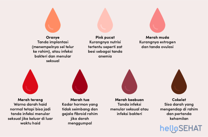 Period warna coklat darah Warna Darah