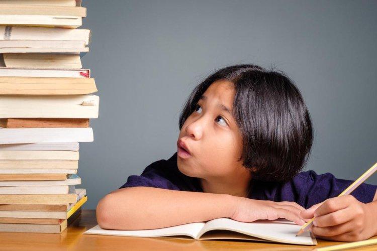 Terlalu Banyak PR Berdampak Buruk pada Anak, Benarkah?
