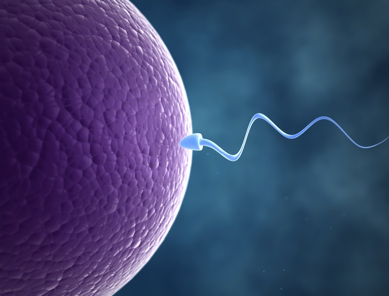 usia-pria-dan-kualitas-sperma