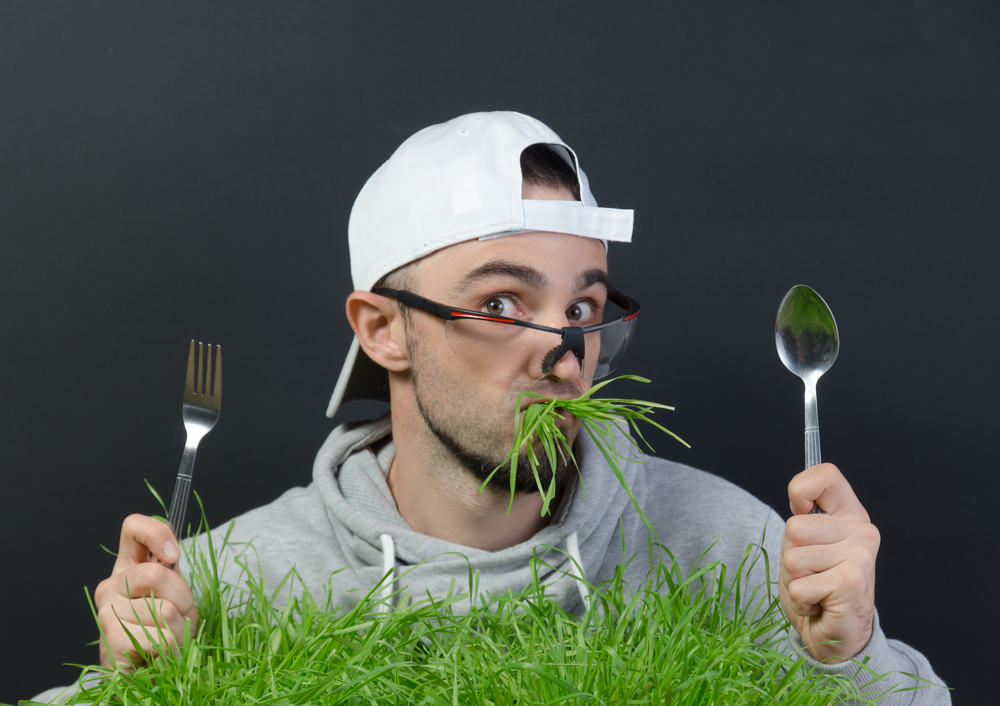 Apa yang Akan Terjadi Kalau Manusia Makan Rumput? Kenapa Tak Dianjurkan?
