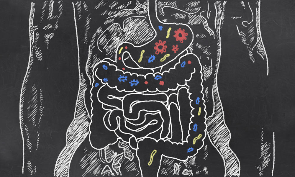 pola diet berdasarkan bakteri di usus