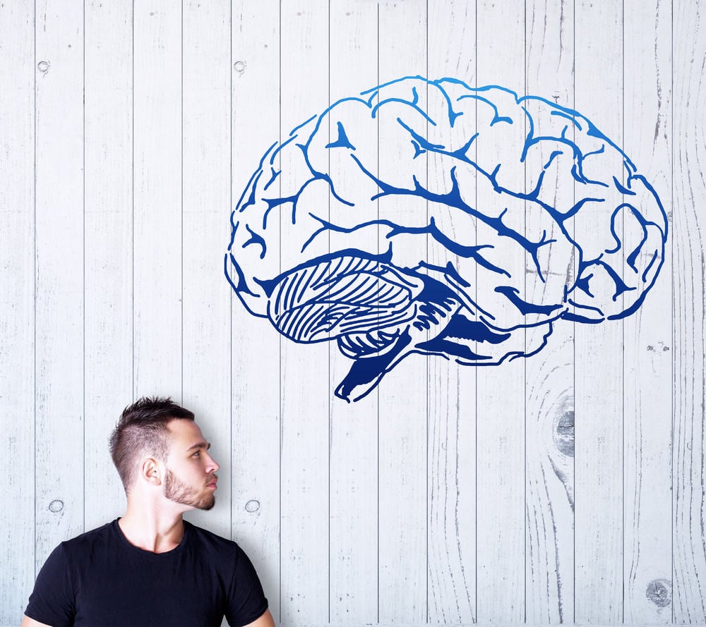 ukuran otak manusia lebih besar, apa pasti lebih pintar?