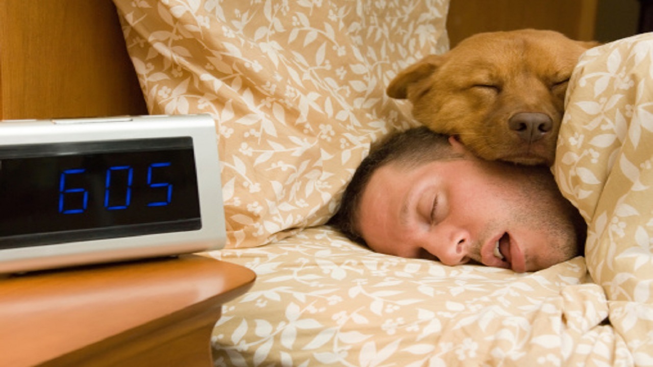 Selalu Mengantuk di Siang Hari? Mungkin Anda Mengidap Hypersomnia