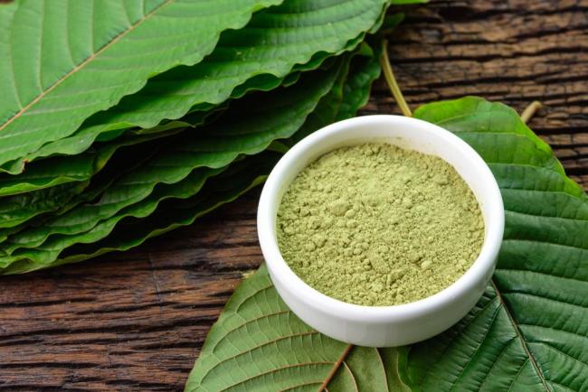 Mengenal Daun Kratom, Berkhasiat Tapi Efeknya Mirip Narkoba