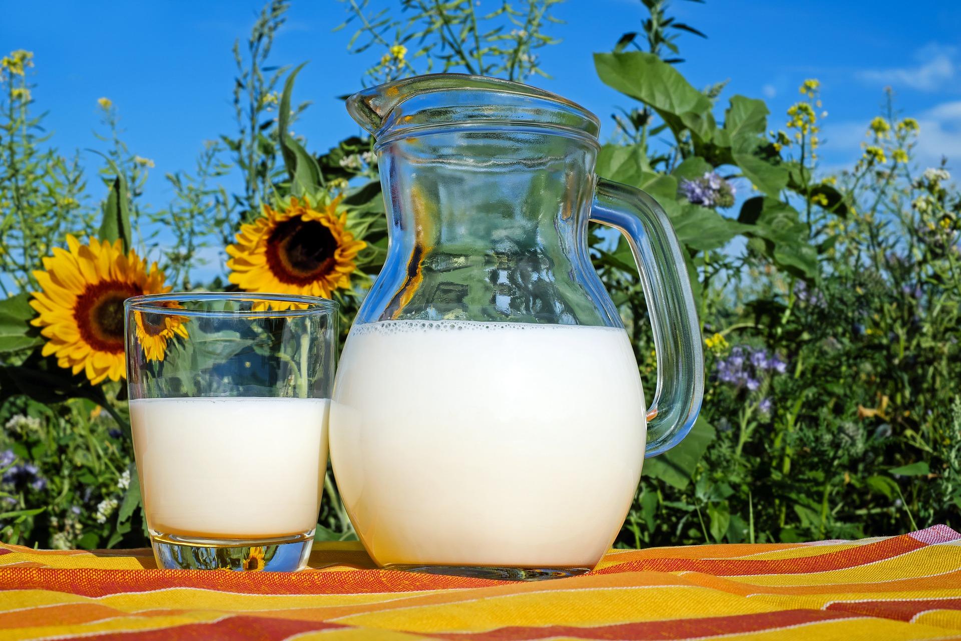 Semua yang Perlu Anda Ketahui Seputar Whey Protein