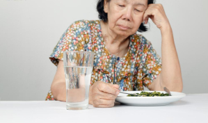 nafsu makan