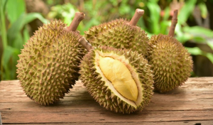 efek makan durian