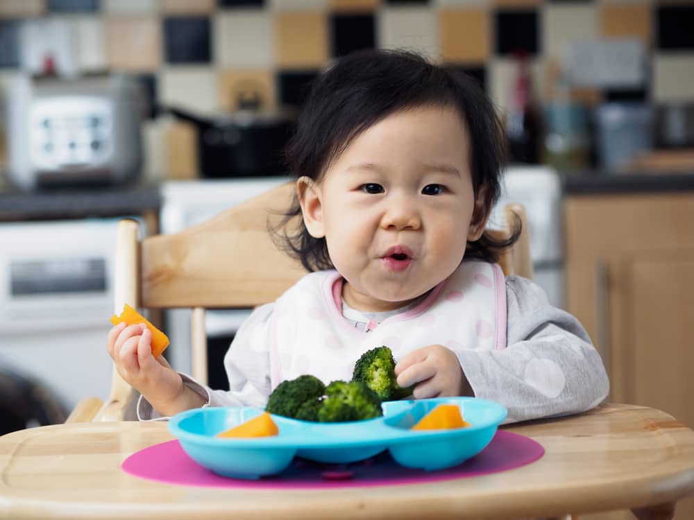 Pola Makan Vegan Memang Sehat, Tapi Bolehkah Diterapkan Pada Anak?