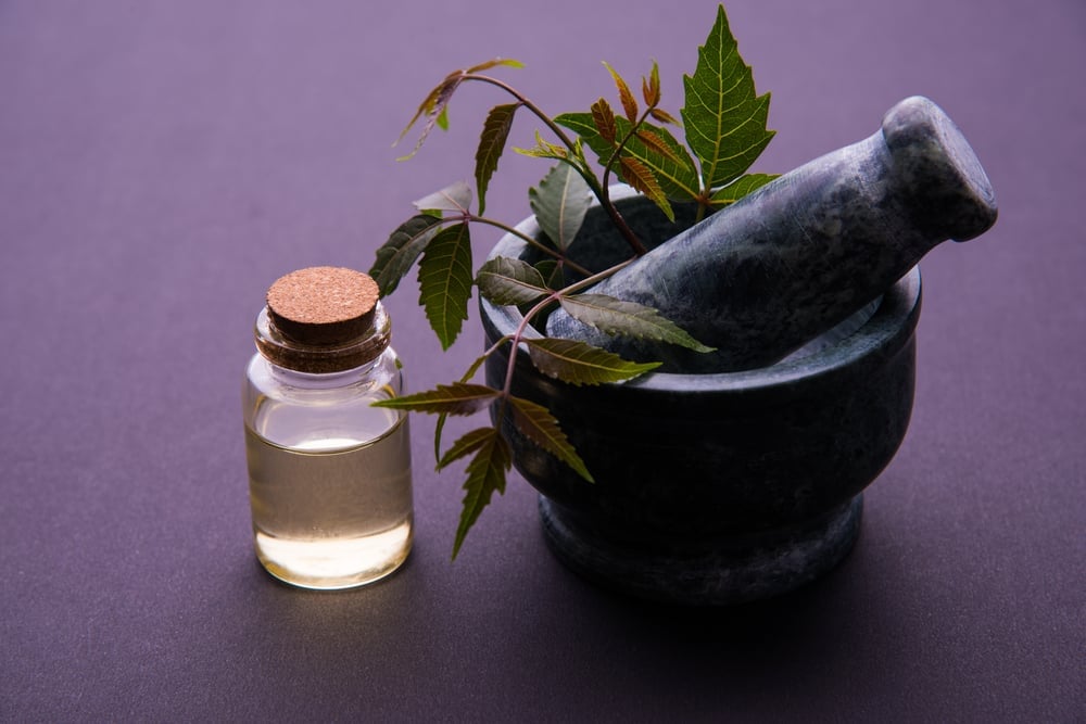 5 Tanaman Herbal yang Terbukti Ampuh Mengatasi Rambut Rontok