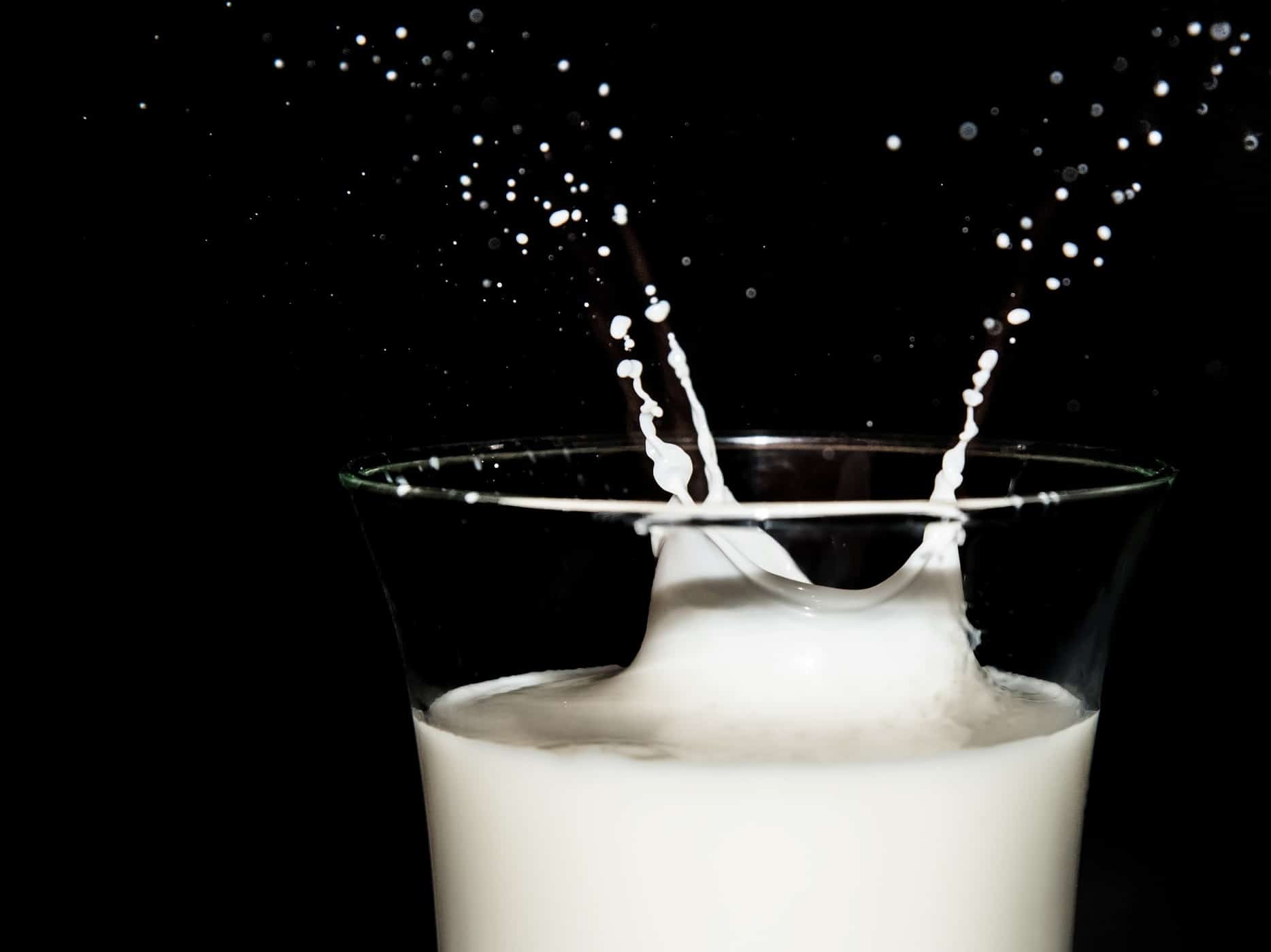 Manfaat Susu Rendah Lemak untuk Jaga Kesehatan Tubuh