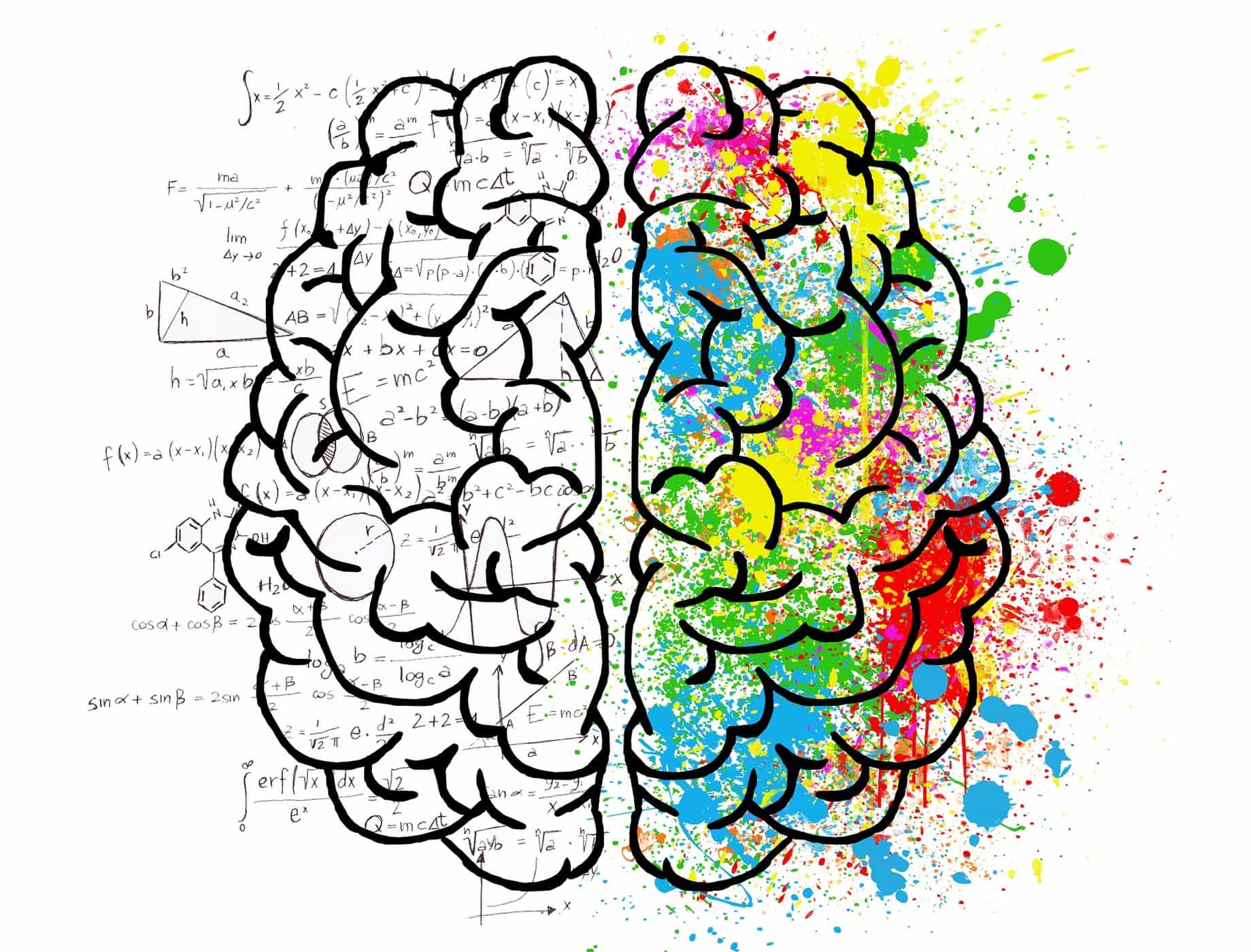 Benarkah Fungsi Otak Kanan dan Otak Kiri Berbeda? Apa Saja Perbedaannya?