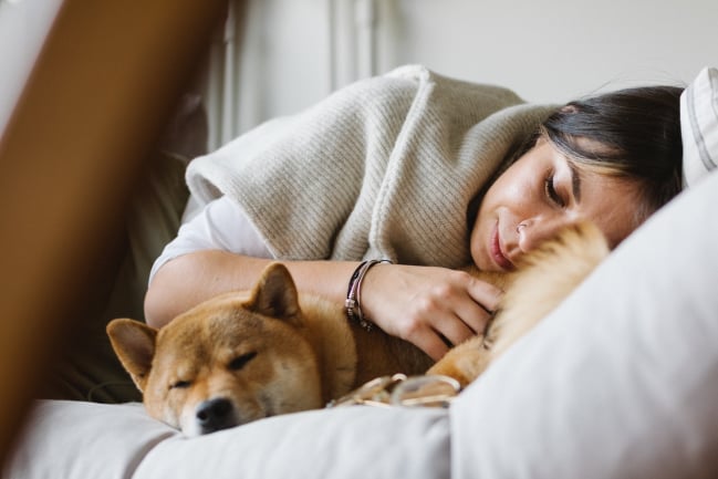 9 Cara Memperbaiki Pola Tidur Berantakan Jadi Lebih Baik • Hello Sehat