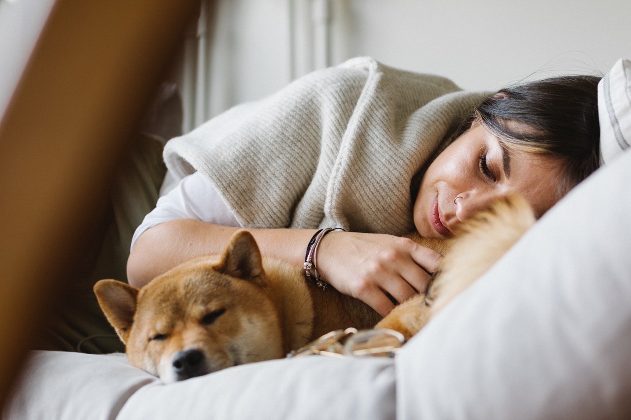 Tidur dengan Kucing atau Anjing, Amankah bagi Kesehatan?