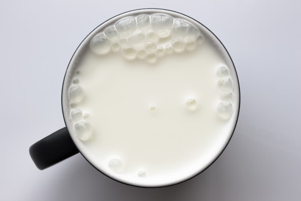 Mana yang Lebih Sehat, Minum Susu Kambing Atau Susu Sapi?