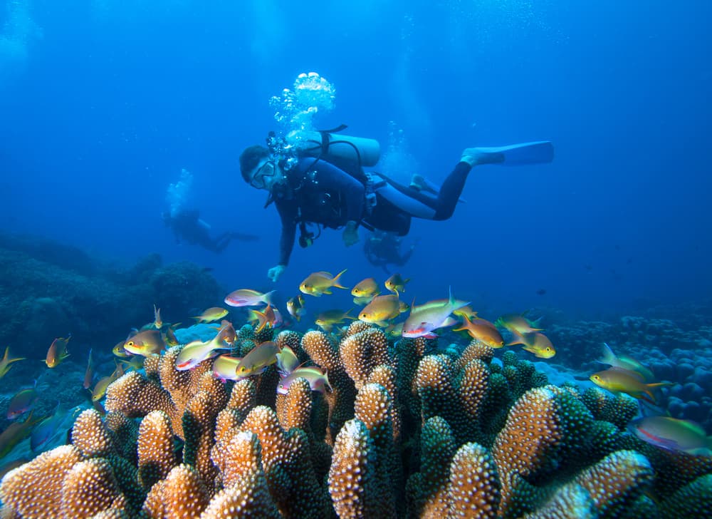 5 Manfaat Scuba Diving (Menyelam) untuk Kesehatan Tubuh