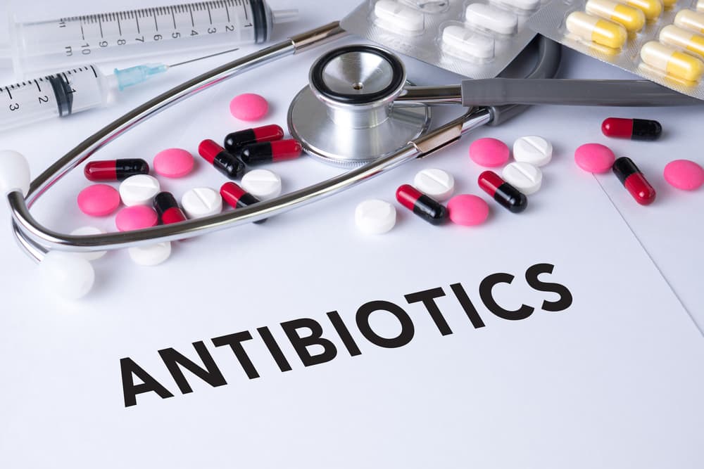 Dewasa demam antibiotik untuk 5 Macam