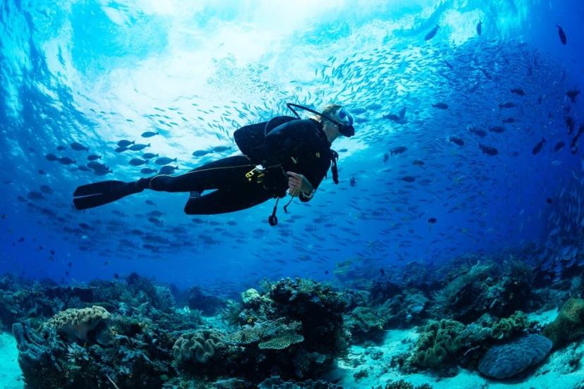 3 Tips Belajar Diving untuk Pemula, Jangan Sembarangan!