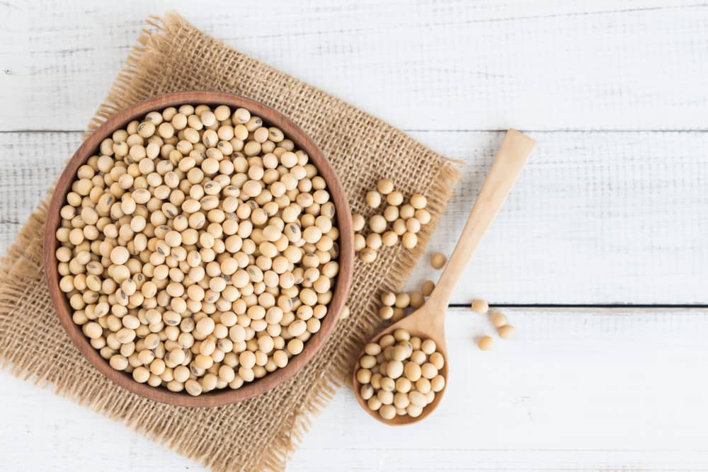 10 Manfaat Menakjubkan Kacang Kedelai yang Tak Kalah Sehat dari Gandum
