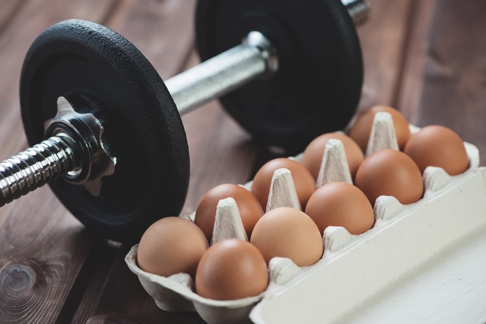 Benarkah Makan Telur Bisa Membuat Otot Lebih Besar?