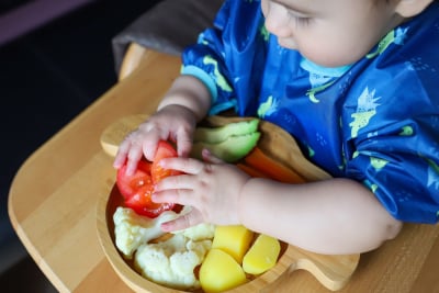 buah sayur untuk bayi