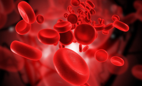 Apa Artinya Jika Jumlah Hematokrit Rendah Setelah Tes Darah?