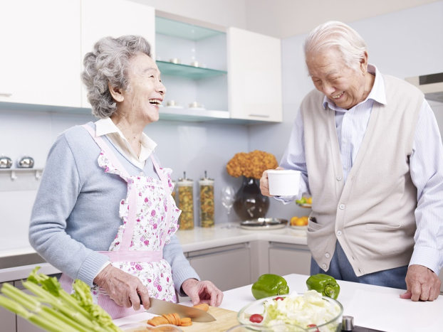 panduan pola makan lansia