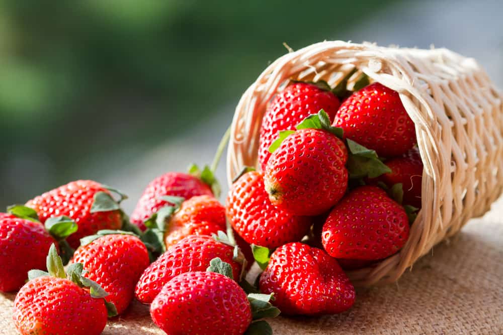 Buah Strawberry, si Cantik nan Asam yang Menyimpan Segudang Manfaat