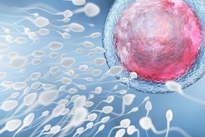 analisis sperma adalah tes kesuburan pria