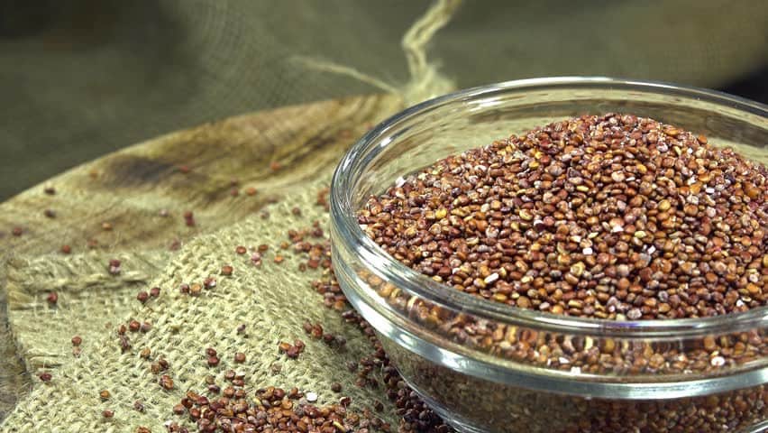 manfaat quinoa