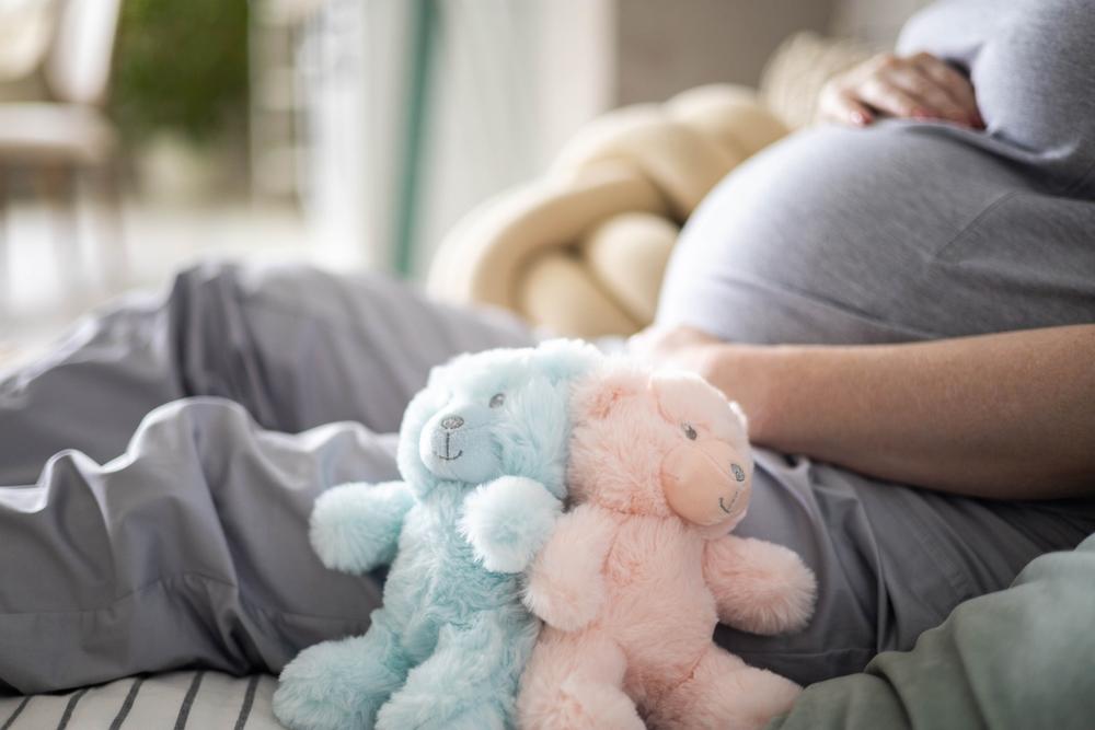 8 Hal Menarik Seputar Bayi Kembar dalam Kandungan