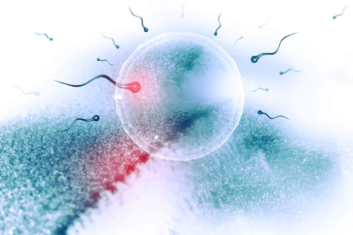 Terlalu Banyak Sperma Juga Ternyata Bisa Bikin Sulit Hamil