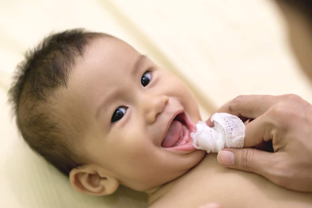 membersihkan mulut bayi