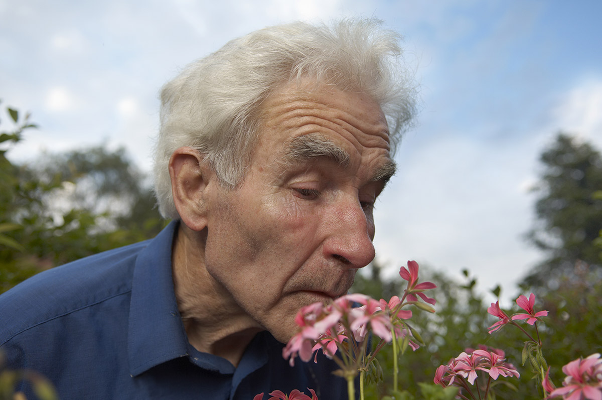 Apa Saja Obat Herbal dan Pengobatan Alternatif untuk Parkinson?