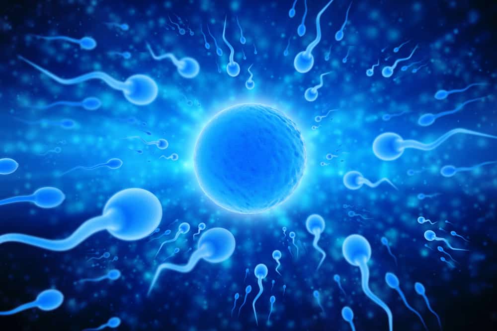 Saat Pria Ejakulasi, Kenapa Banyak Sekali Sel Sperma yang Dikeluarkan?