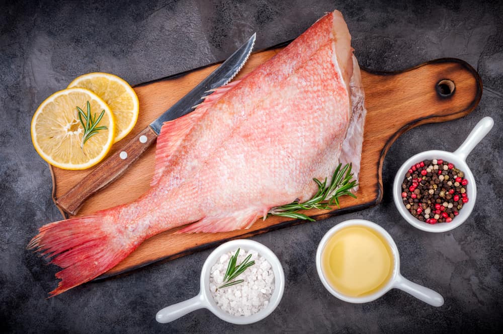 Berbagai Manfaat Zat Gizi dari Makan Ikan Kakap