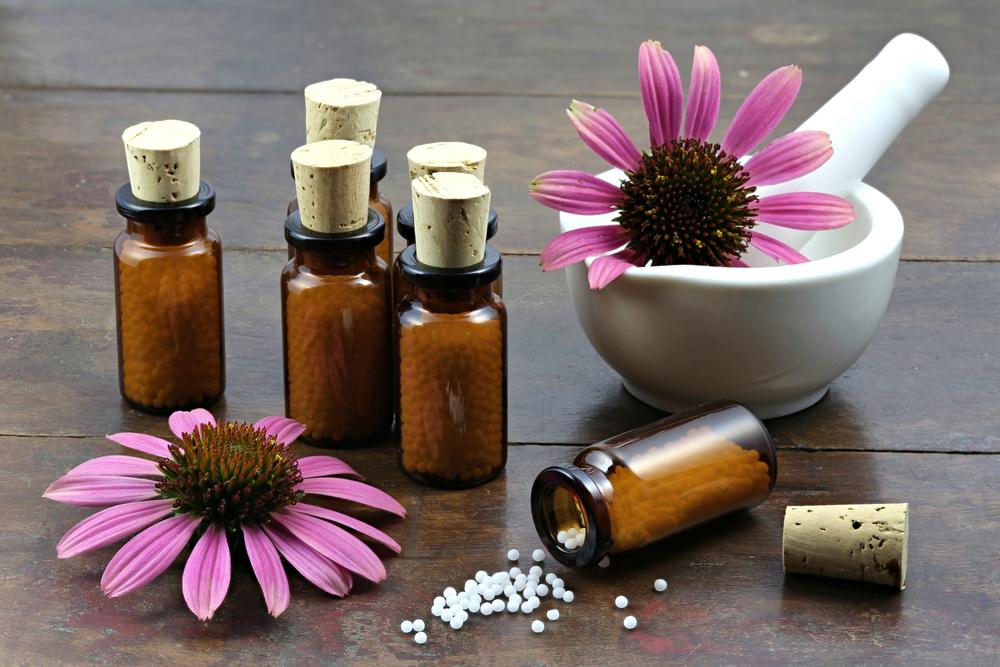 5 Manfaat Bunga Echinacea untuk Kesehatan Tubuh