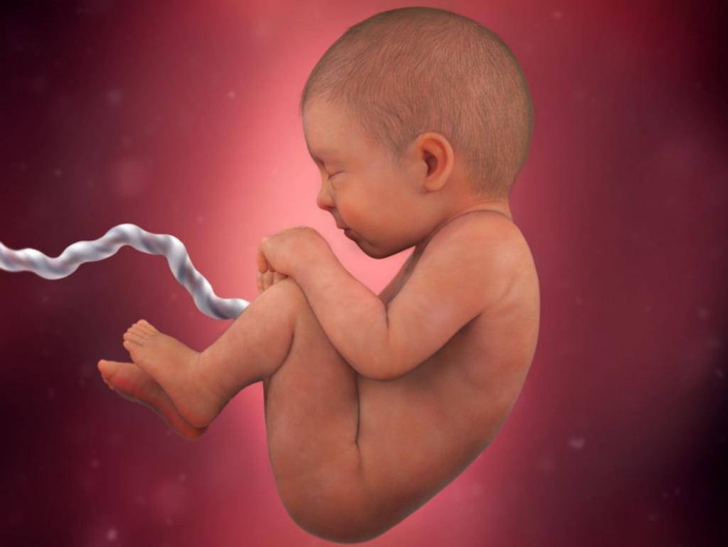Bayi sumbing punca Bayi Sembelit: