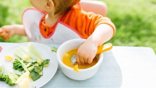 Memasuki Usia 1 Tahun, Ini Jenis dan Porsi Makanan yang Dibutuhkan Bayi