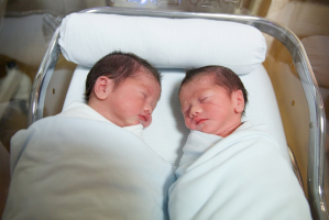 bayi kembar lahir beda hari