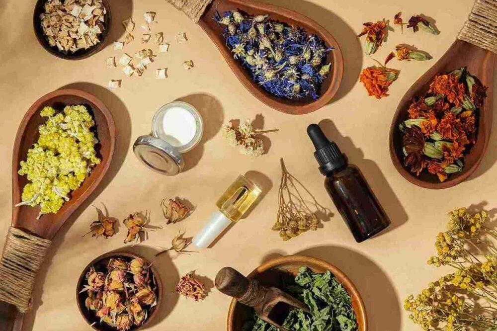obat-alami-kutil-kelamin