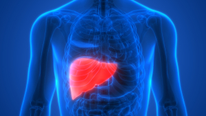 Pembengkakan Hati Dan Limpa Hepatosplenomegali Apa Penyebabnya