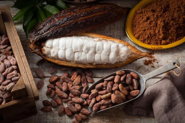 Tak Hanya Nikmat, Ini 9 Manfaat Biji Kakao bagi Kesehatan