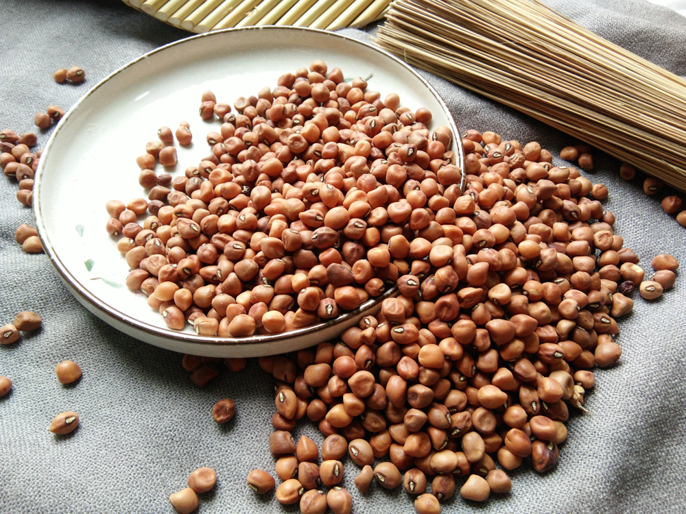Mengenal Kandungan Gizi dan Manfaat Sehat Kacang Tolo